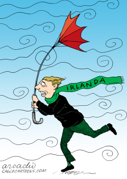 EL INVIERNO ECONóMICO DE IRLANDA by Arcadio Esquivel