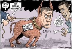 BIG HEALTHCARE LAPDOG by Wolverton