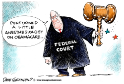 OBAMACARE AND FEDERAL COURT by Dave Granlund