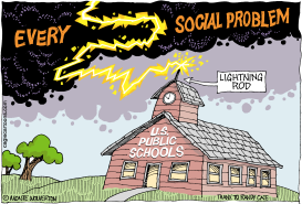 BLAMING PUBLIC SCHOOLS by Wolverton