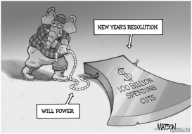 NEW YEAR'S BUDGET CUTTING RESOLUTION by RJ Matson