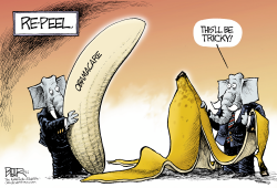 TOP BANANA by Nate Beeler