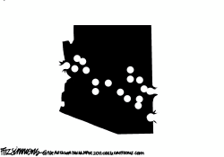 ARIZONA SHOOTING by David Fitzsimmons