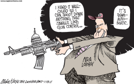 GUN CONTROL by Mike Keefe