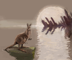 KANGAROO IN FLOOD by Riber Hansson