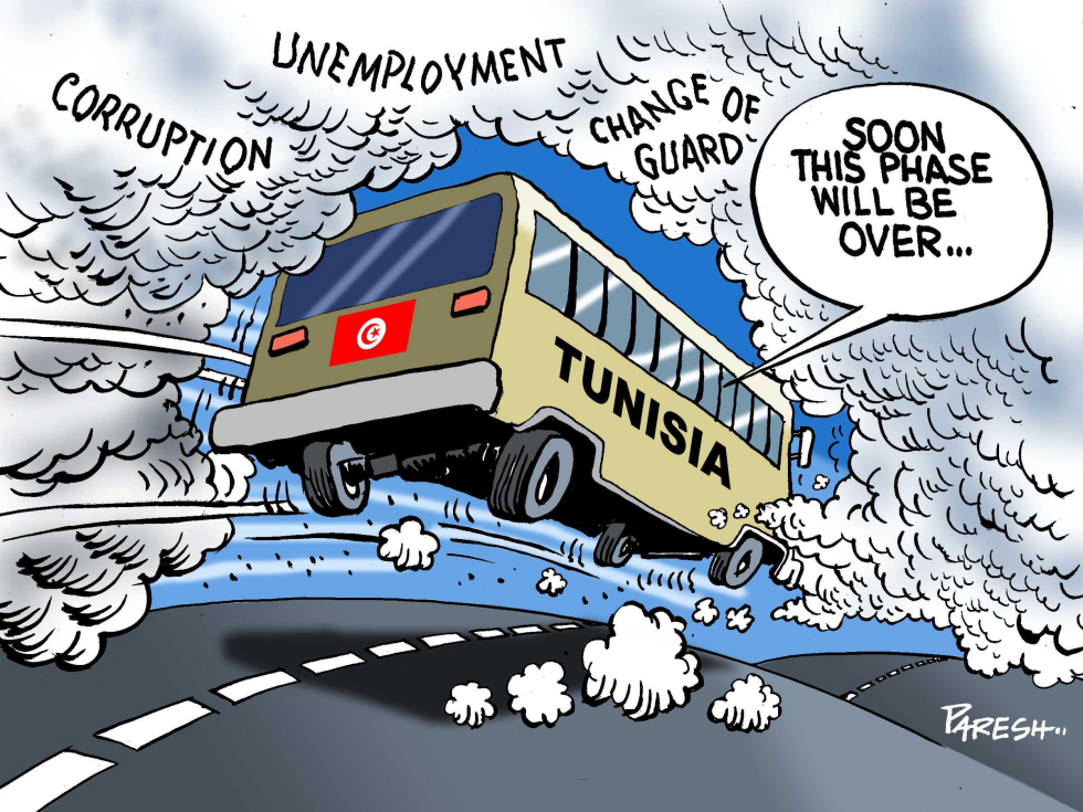  TRANSITION IN TUNISIA by Paresh Nath