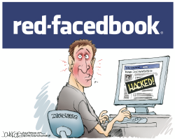 ZUCKERBERG HACKED by John Cole