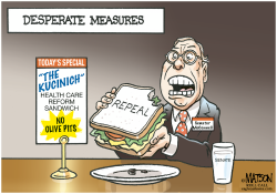 DESPERATE MEASURES TO REPEAL HEALTH CARE REFORM by RJ Matson