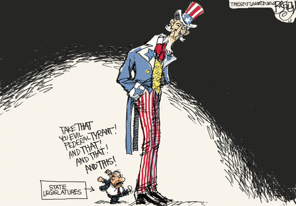  DOING THE NULLIFICATION RAG  by Pat Bagley