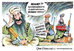 BIN LADEN VS PEACEFUL REVOLTS by Dave Granlund