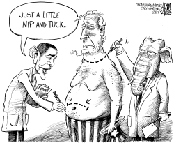 NIP AND TUCK BUDGET by Adam Zyglis