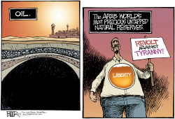 LIBERTY IN THE MIDDLE EAST by Nate Beeler