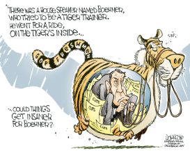 BOEHNER AND THE TIGER by John Cole