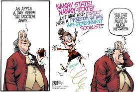 NANNY STATE NANNY by Nate Beeler