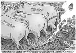 LOCAL MO-CORPORATE HOG FARM POLLUTION by RJ Matson