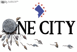 LOCAL DC - ONE CITY by Nate Beeler