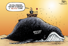 NO-FLY ZONE by Nate Beeler