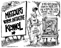 LOCAL MO MISSOURI VOTER INITIATIVES by John Darkow