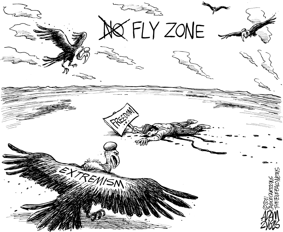  FLY ZONE by Adam Zyglis