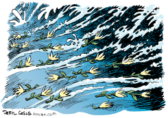 TSUNAMI FLOWERS  by Daryl Cagle