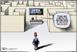 OPEN GOVERNMENT MAZE by Nate Beeler