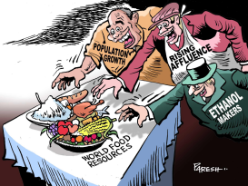 FOOD CRISIS FACTORS by Paresh Nath