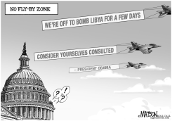 NO FLY-BY ZONE by RJ Matson