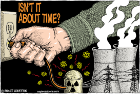 TIME TO PULL THE PLUG ON NUCLEAR POWER by Wolverton