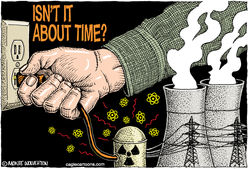  TIME TO PULL THE PLUG ON NUCLEAR POWER by Wolverton