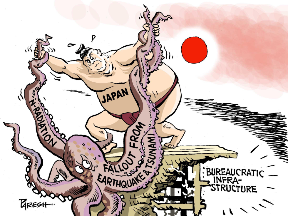  JAPAN PROBLEMS by Paresh Nath