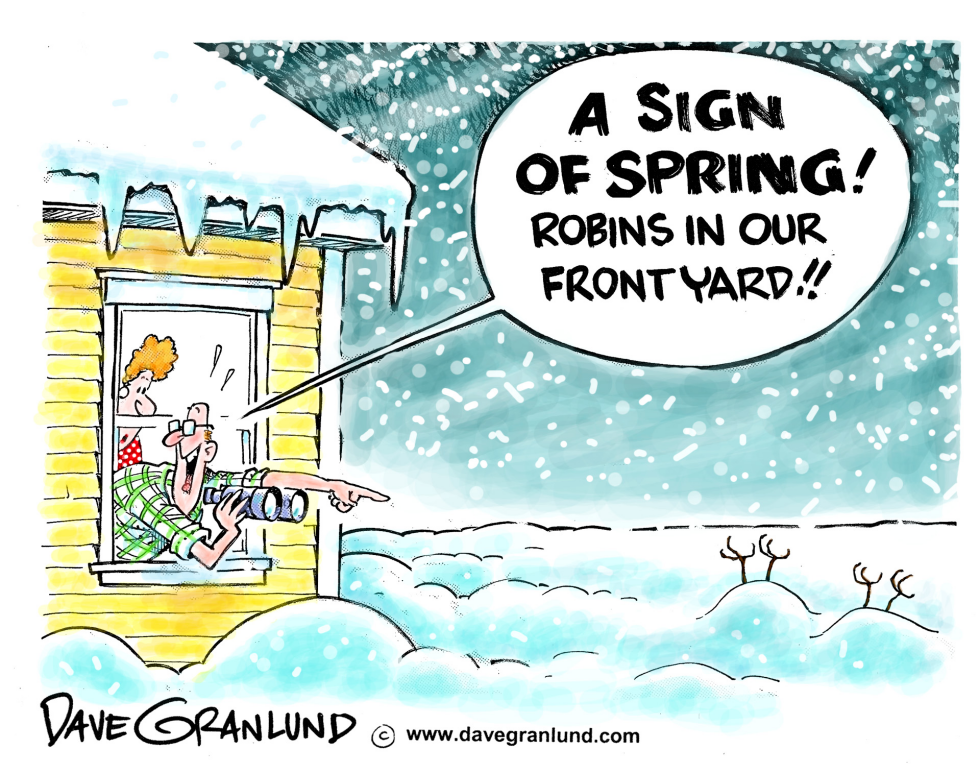  SPRING SNOWSTORM by Dave Granlund