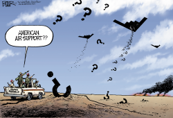 AIR SUPPORT by Nate Beeler