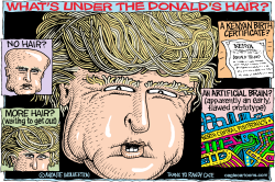 WHATS UNDER THE DONALDS HAIR by Wolverton