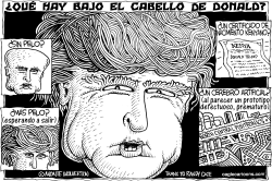 QUE HAY BAJO EL CABELLO DE DONALD by Wolverton