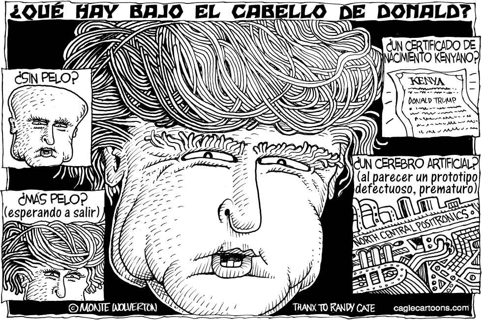  QUE HAY BAJO EL CABELLO DE DONALD by Wolverton