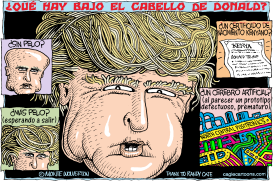 QUE HAY BAJO EL CABELLO DE DONALD  by Wolverton