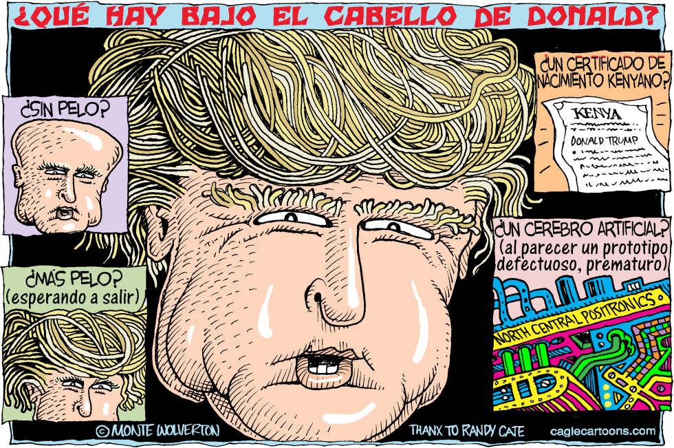  QUE HAY BAJO EL CABELLO DE DONALD  by Wolverton