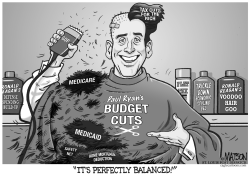 PAUL RYAN BUDGET CUTS by RJ Matson