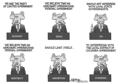 THE PARTY OF LIMITED GOVERNMENT by RJ Matson