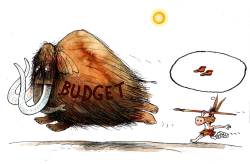 BUDGET  by Pavel Constantin