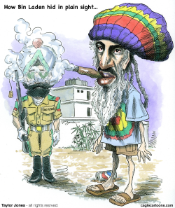 RASTA BIN LADEN  by Taylor Jones