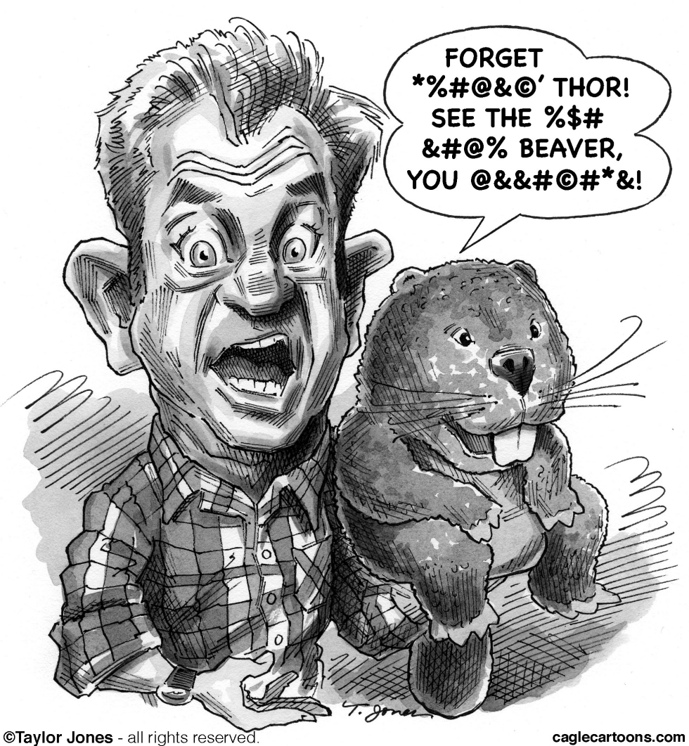  MEL GIBSON IS THE BEAVER by Taylor Jones