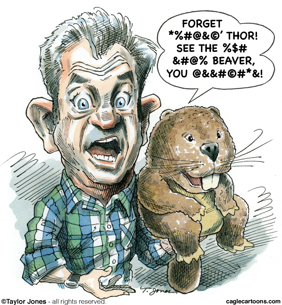  MEL GIBSON IS THE BEAVER  by Taylor Jones