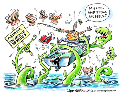 AQUATIC INVASIVE SPECIES by Dave Granlund