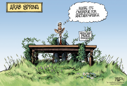 MIDDLE EAST SPEECH by Nate Beeler