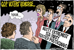 GOP VOTERS REMORSE by Wolverton