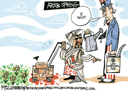 ARAB SPRING  by David Fitzsimmons