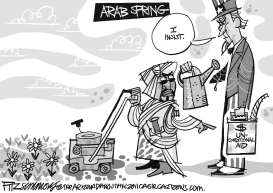 ARAB SPRING by David Fitzsimmons