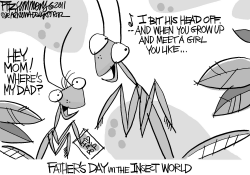 FATHERS DAY IN THE INSECT WORLD by David Fitzsimmons