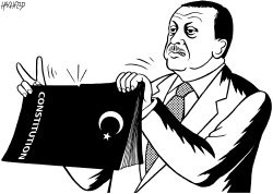 ERDOGAN AFTER THE ELECTION by Rainer Hachfeld